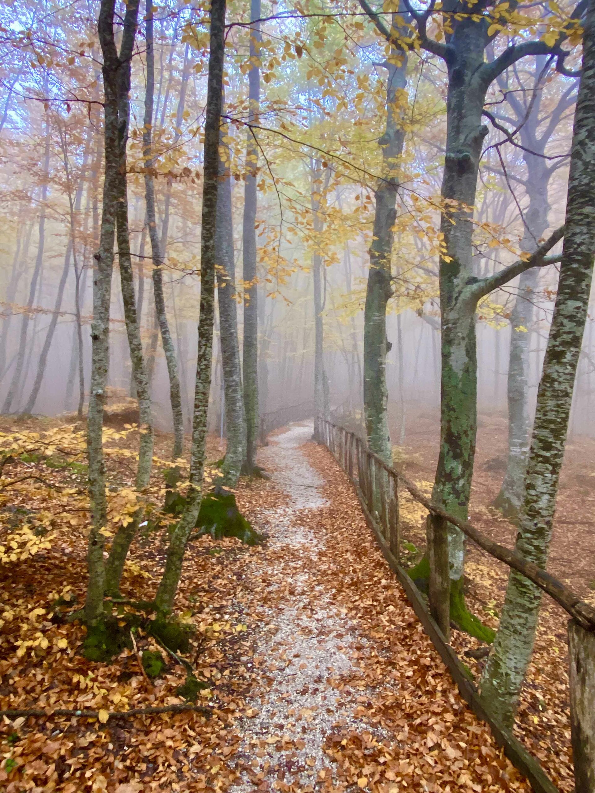 Autunno Nella Riserva Di Lama Bianca In Abruzzo • Majellando